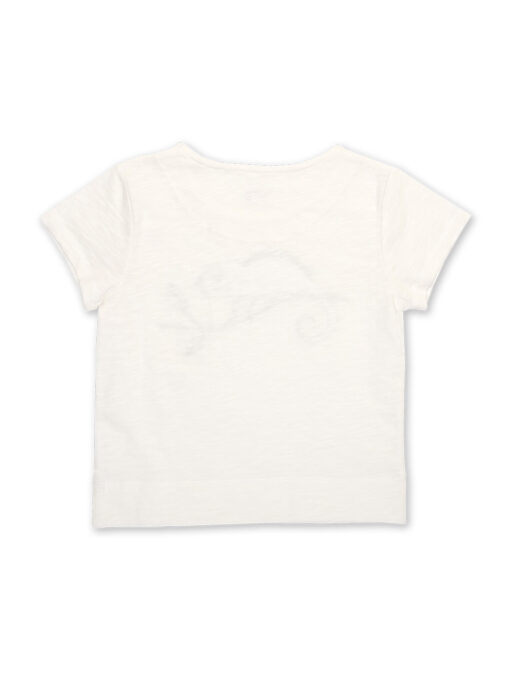 kite cool chameleon t shirt